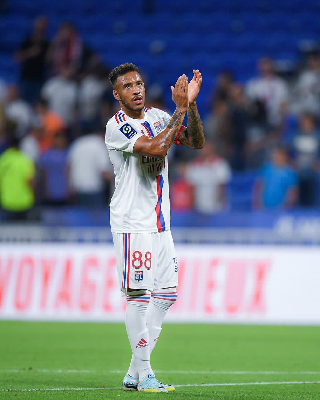 30吨植物油精炼设备