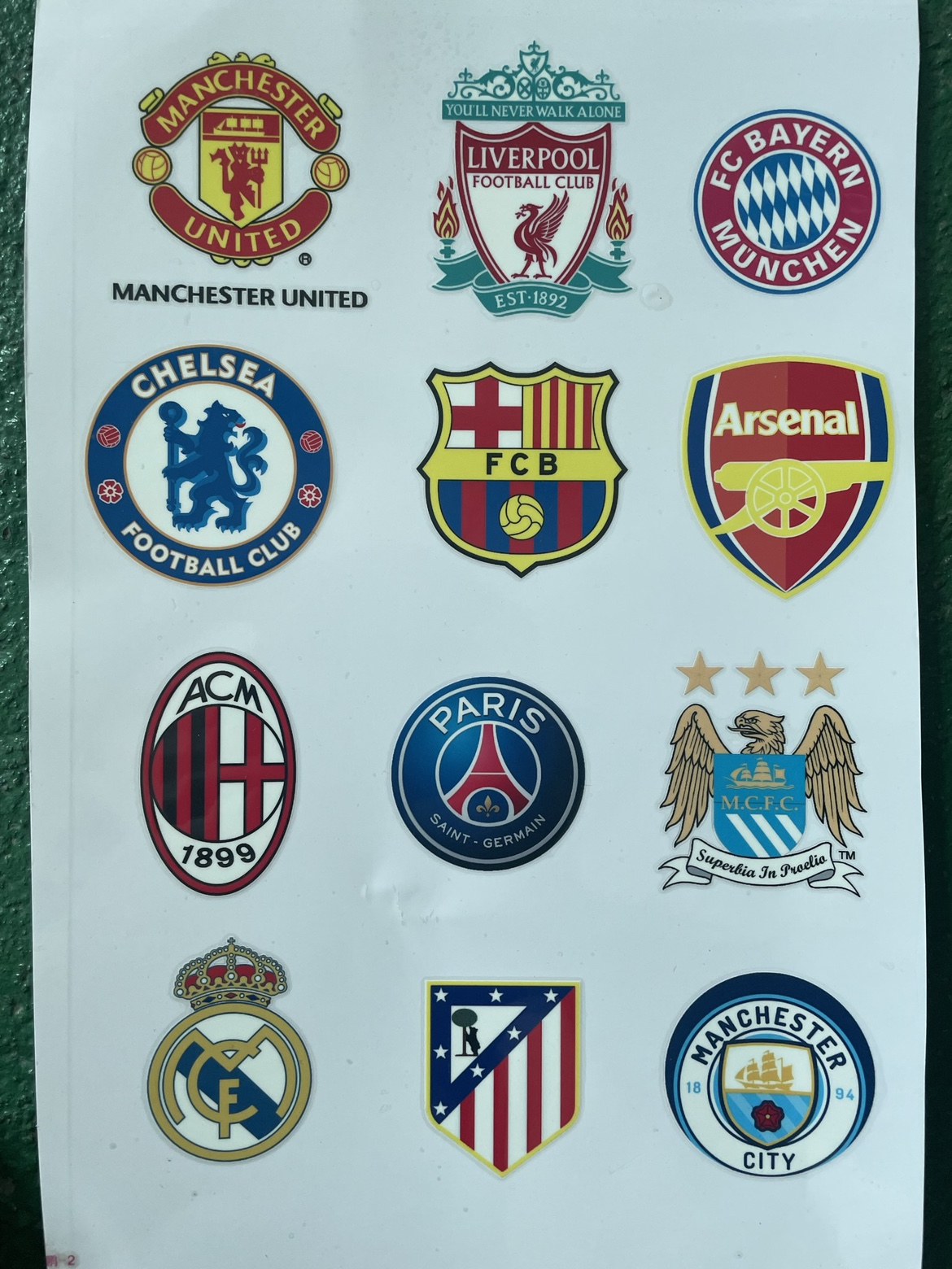 小规模的茶籽油生产线