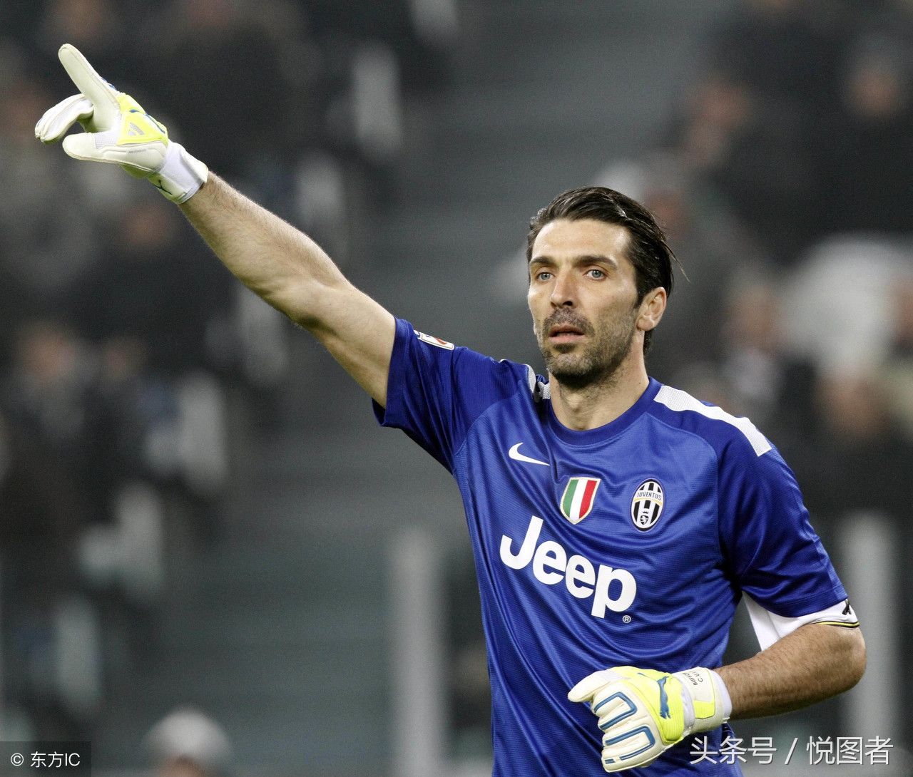 炉膛一体动物油熬练直烧锅