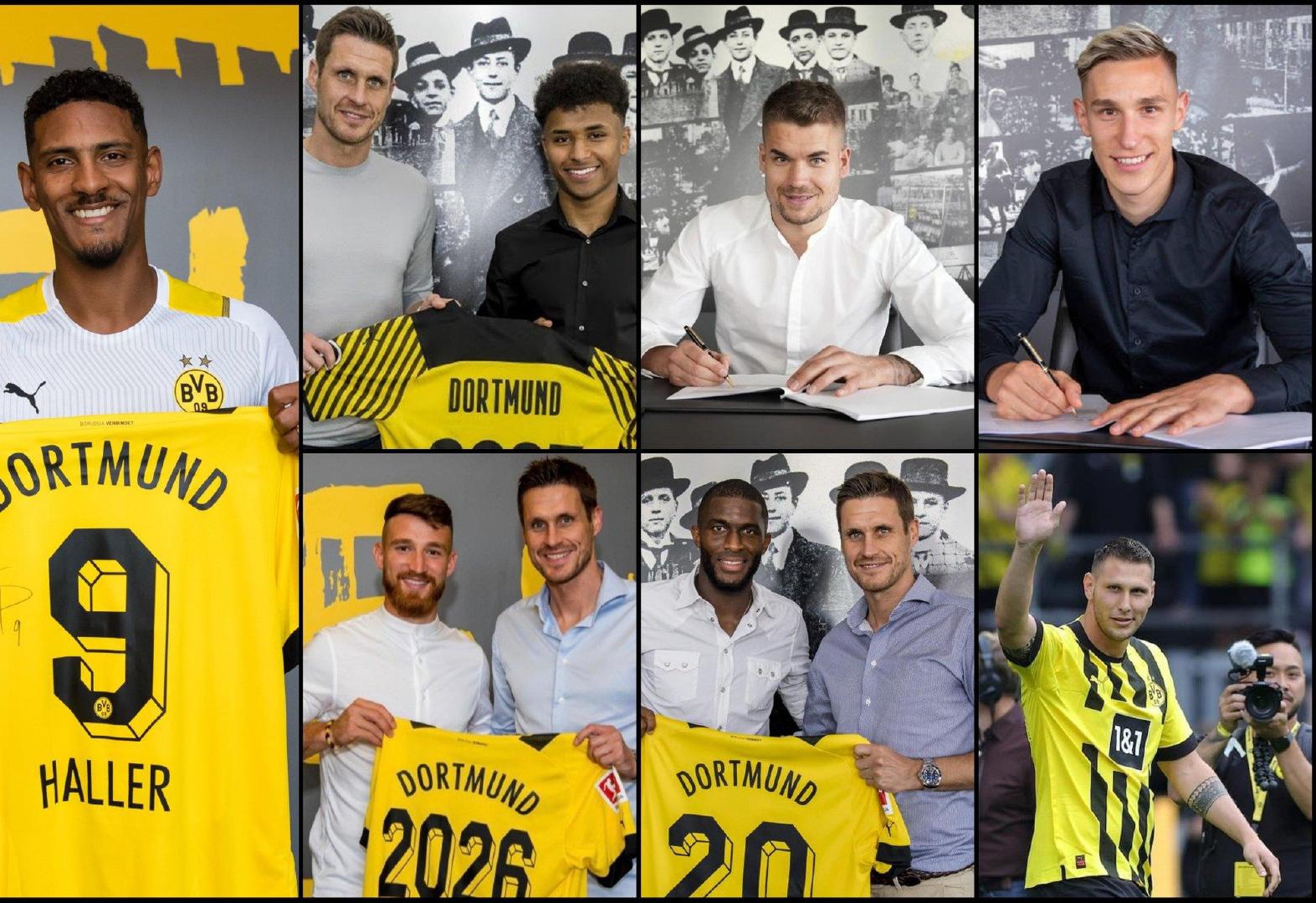 轧胚机 预处理设备