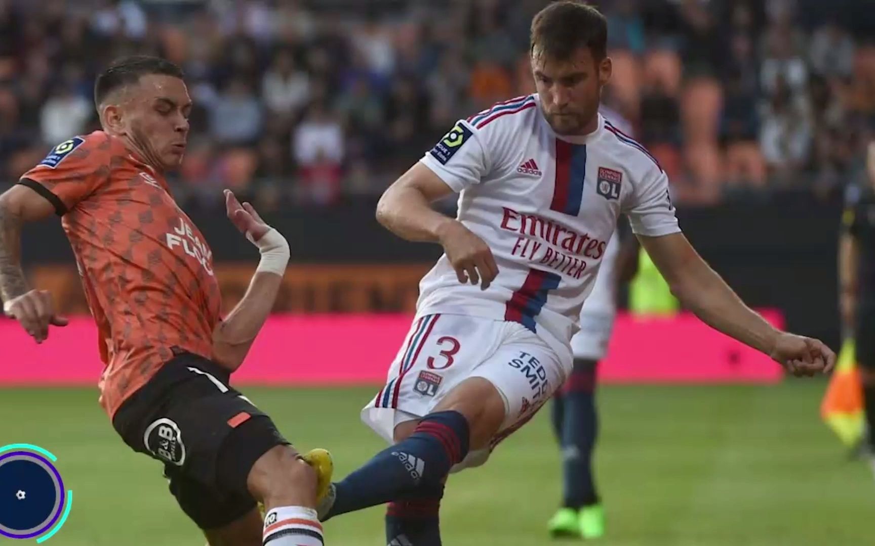 动物油熬炼设备